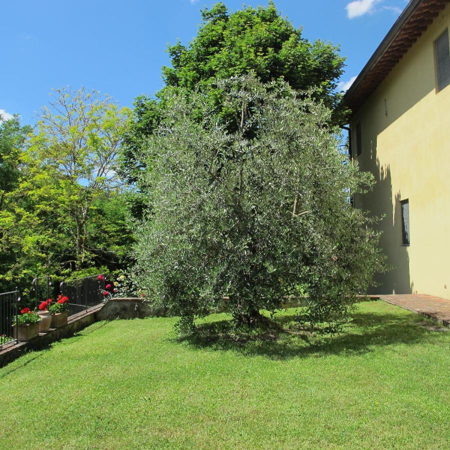 Agriturismo Podere Filicaia Сан-Джованни-Вальдарно Экстерьер фото