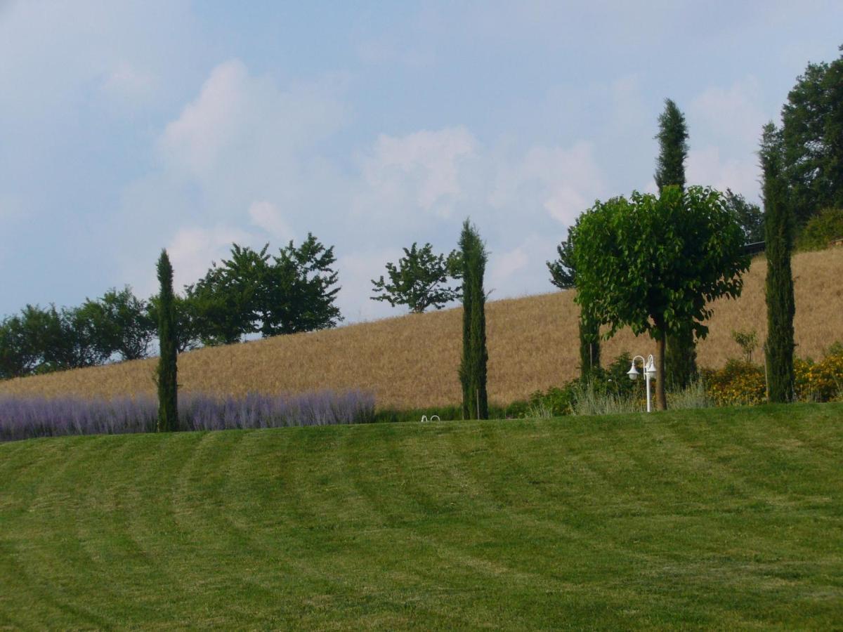 Agriturismo Podere Filicaia Сан-Джованни-Вальдарно Экстерьер фото