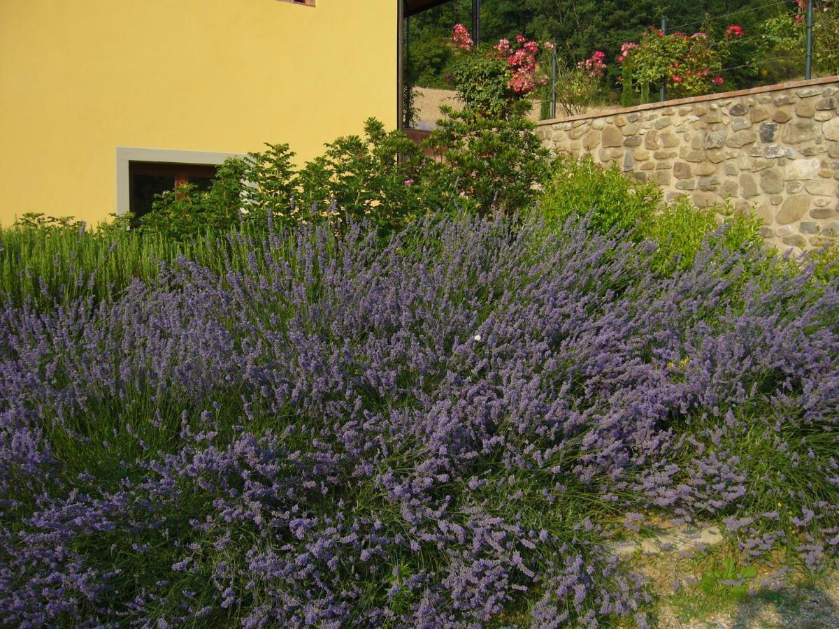 Agriturismo Podere Filicaia Сан-Джованни-Вальдарно Экстерьер фото